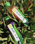 16.9 oz, Pack 12 ALO Aloe Vera Juice Drink | BLUSH - Aloe Vera + Strawberry | fl of | Plant-Based Drink with Real Aloe