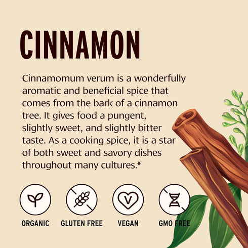 Banyan Botanicals Organic Cinnamon Powder – Ceylon Cinnamon – Spice Jar, Non-GMO Vegan