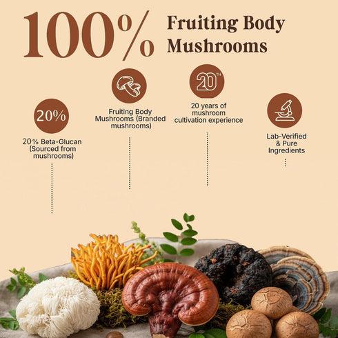 10 1 Immunity, 180g, 60 in Mushrooms Coffee, Instant Mushroom Coffee Powder with Lion's Mane, Cordyceps, Reishi
