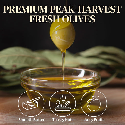 500ml (16.9 oz) Burroughs Family Farms Premium Organic Extra Virgin Olive Oil Cold-Pressed California EVOO, Polyphenol
