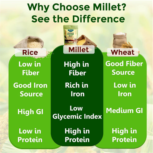 2 lbs (950g), Danodia Foods Browntop Millet, Unpolished, Natural & Gluten-Free Whole Grain Superfood, Plant-Based