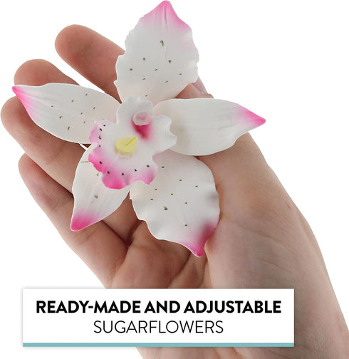 3 Count Global Sugar Art Brassavolaelio Orchid Sugar Cake Flowers, White with Pink, by Chef Alan Tetreault