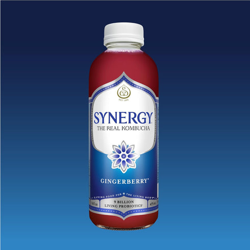 16 oz Immune SYNERGY The Real Kombucha - Gingerberry - fl Bottle - Raw Probiotic Drink for Gut Health and Support