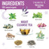 14 1 (14 2 (14 100% Detox Tea - Day Teatox Herbal Tea for Body Detox Cleanse and Weight Loss - Morning Boost Tea Bags)