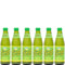 D&G Ting Ting, Sparkling Jamaican Grapefruit Flavored Beverage, 10.14oz Glass Bottle (Pack of 6,