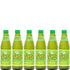 D&G Ting Ting, Sparkling Jamaican Grapefruit Flavored Beverage, 10.14oz Glass Bottle (Pack of 6,