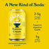 12 OLIPOP Banana Cream Prebiotic Soda, FZ