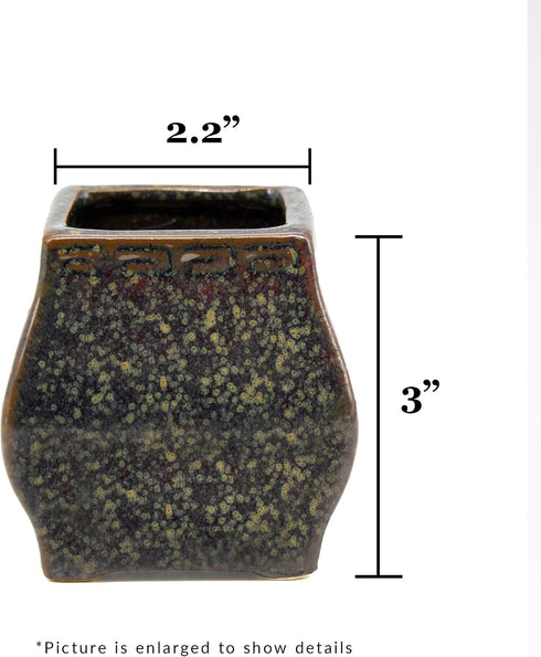 5 NW Wholesaler - Indoor Live Lucky Bamboo Stalk Potted Houseplant in Ceramic Brown Speckled Vase, Lucky Plant, Low