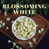 SSTTTKL 3.52oz/100g 100% Jasmine Tea - Dried Jasmine Flowers, - Natural Edible Jasmine Buds, Loose Leaf Herbs for Tea