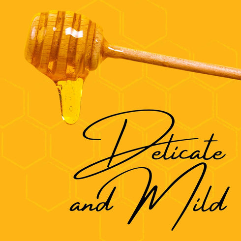 6 LBS Bulk Honey - - Half Gallon of Raw Honey - Raw Wildflower