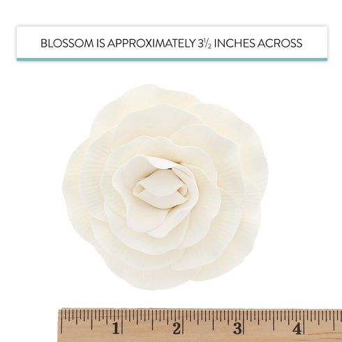 4 Count Global Sugar Art Peony Rose Sugar Cake Flowers, White, by Chef Alan Tetreault