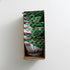 4.5 Oz (Pack 7) Chex Mix Muddy Buddies, Mint Chocolate