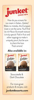 4 1 Frozen (Pack 6) Junket Gelato Mix: Strawberry Cheesecake Homemade Gelato Ice Cream Mix for Ice Cream Maker or Stir