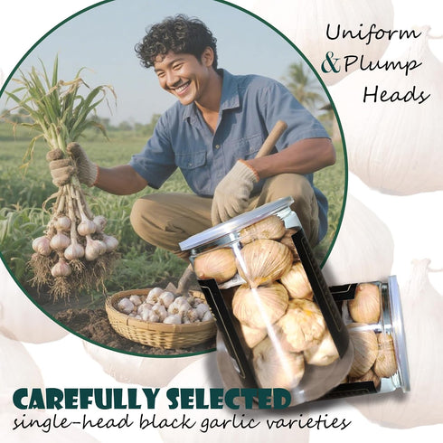 Generic (15.9 Pickled Black Garlic Whole Cloves Odorless Ajo Entero Negro Natural in a Jar Ounce)