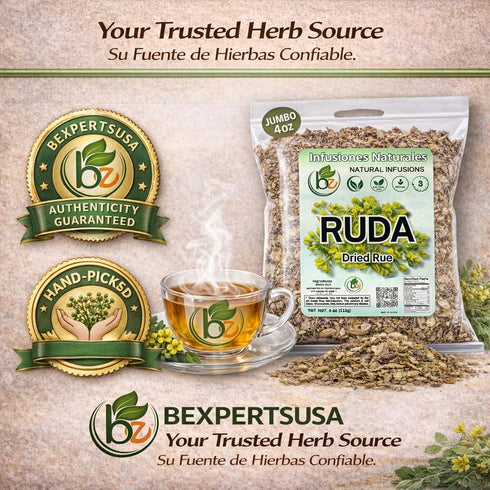 (4 oz) 100% Ruda Seca Herbal Tea Natural Rue Dried Herbs (Ruta graveolens) Traditional Botanical Infusion Wildcrafted