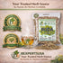 (4 oz) 100% Ruda Seca Herbal Tea Natural Rue Dried Herbs (Ruta graveolens) Traditional Botanical Infusion Wildcrafted