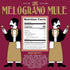 8.4 OZ, 12 Pack Lapo's Pomegranate Mule, Non Alcoholic Drink & Mocktail, Lemon, Wildflower Honey, Rosemary & Ginger