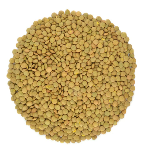 Organic Green Lentils Whole Raw, High Fiber Non-GMO-Bulk (3LB)
