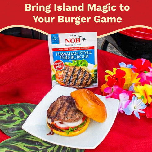 1.5 oz Packet (Pack 12) NOH Hawaiian Style Teri-Burger Seasoning Mix, of - Easy-to-Use Hawaiian Teriyaki Burger