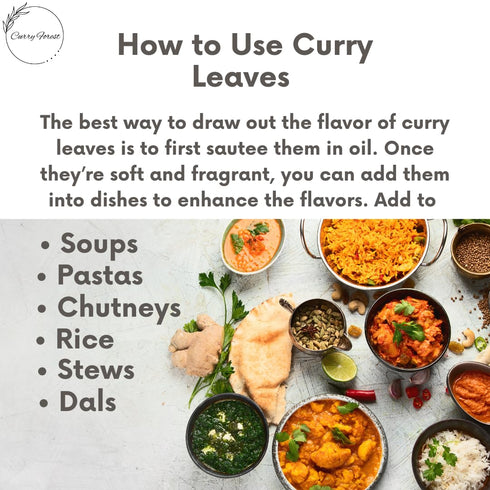 Leaves-100% Dried-20-25 CurryForest Premium Dried Curry Natural, Pesticide-Free Whole Leaves, USA Grown, Air g
