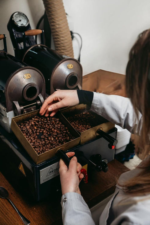8.8 oz (250g) Bristot Organic Ground Espresso Medium Roast Italian Coffee For Moka, French Press & Pour Over USDA