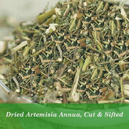 Natural Artemisia Annua, Dried Sweet Wormwood, Herbal Loose Leaves (4.0 oz)