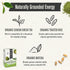 100 Numi Organic Matcha Toasted Rice Tea, Matcha Tea Bags, Flavorful Green Tea