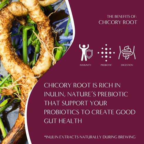 11 Teeccino Java Chicory Coffee Alternative - Ounce - Ground Herbal Coffee Thats Prebiotic, Caffeine Free & Acid Free