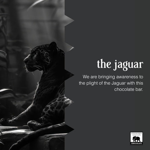 3 oz Endangered Species, Extra Dark Chocolate Panther