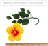 5 Count Global Sugar Art Tropical Hibiscus Sugar Flowers for Cakes Large Gumpaste Hawaiian Cake Toppers, Assorted