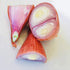 5 LB Kejora Peeled Fresh Shallots - Produce of USA