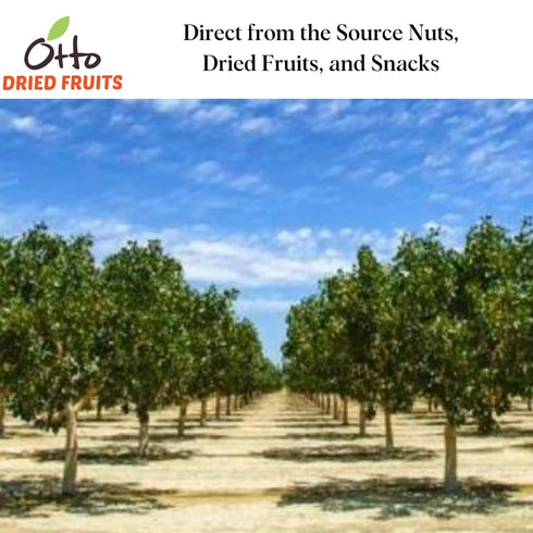 (Pack 1, Otto Dried Fruits - Non-GMO Snack, Naturally Vegan Snack with No Added Sugar, Flavors or Preservatives