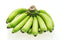 RawJoy Fresh Organic Green Plantain Bananas by Farms, 1 Pound