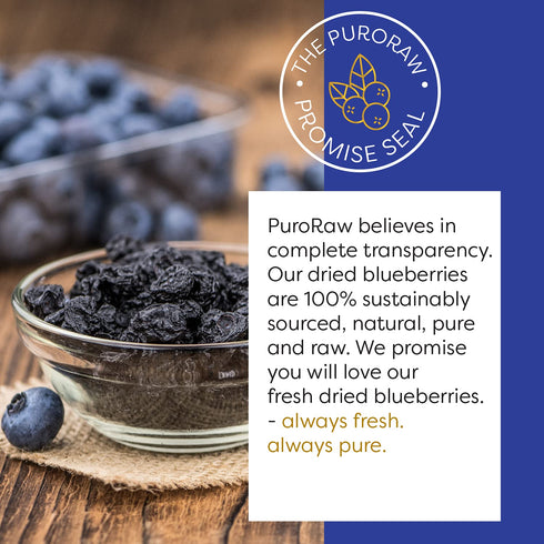 PuroRaw 2 lbs. 2 Dried Blueberries No Sugar Added, Blue Berries Fruit, Dehydrated Blueberries Fresh Dried Blueberries