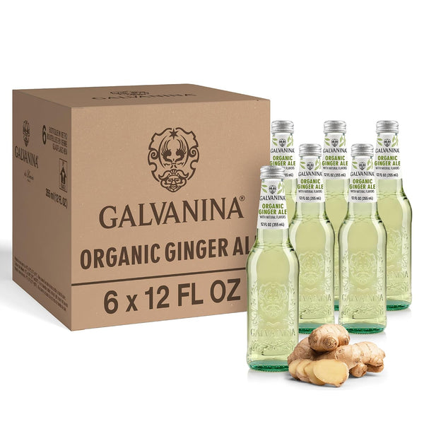 Galvanina Ginger Ale Premium Organic Italian Sparkling Soda, 12 fl oz (6