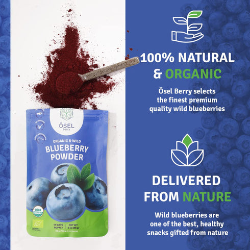 SEL BERRY 3oz Organic Wild Blueberry Powder USDA Certified - No Sugar Added Antioxidant-Rich Freeze Dried Organic Wild