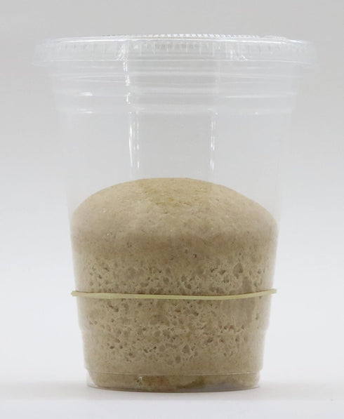 Natural Whole Wheat Sourdough Starter Culture - Bakerdale Dehydrated