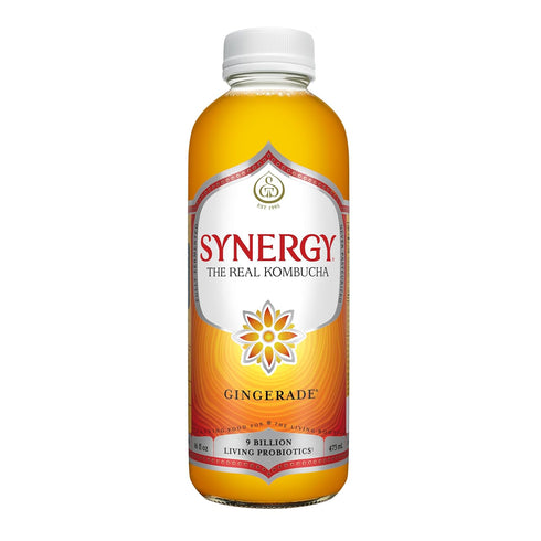 SYNERGY The Real Kombucha - Gingerade - 16 fl oz Bottle -