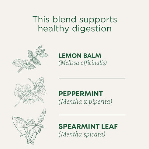 Traditional Medicinals Tea, Organic Triple Mint, Supports Healthy Digestion, Includes 16 Tea Bags