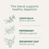 Traditional Medicinals Tea, Organic Triple Mint, Supports Healthy Digestion, Includes 16 Tea Bags