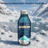 16 Oz (473 ml) Pack 12 Clear Alaskan Fresh Glacier Water, Naturally Alkaline - Bottled in Aluminum with No Plastic | Fl