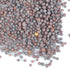 2 Lb Organic Brown Mustard Sprouting Seeds: - Hot Mustard Seed: for Spices, Sprouts, Microgreens, Making Gourmet