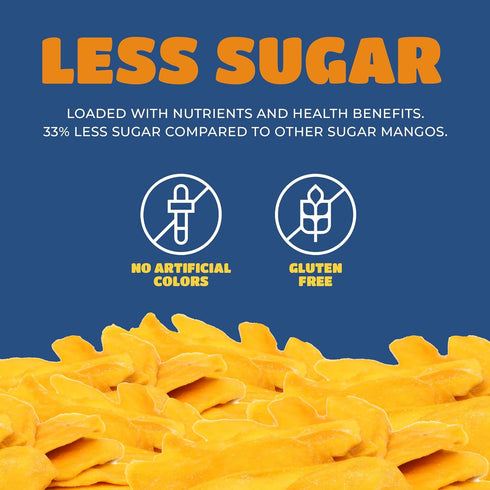 Paradise Valley 16 oz (16 Pack) Dried Mango Slices - Delicious Texture Soft & Juicy Low Sugar Added Dried Mango