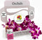 Small Orchid Freeze-Dried Edible Flowers - Edible Dried Flowers for Cocktail Garnish,