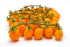 (12.35 oz), 100% Cosi Come - Datterino, Italian Yellow Tomatoes Unpeeled Low-acid, No additives, No preservatives