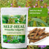 Generic 100% 2.0oz(56g), Natural Dried Self Heal, Self Heal Herbs,Sun Dried, No Additives