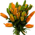 19 Orange Fresh cut Lily Flowers | Send Flower Food |Hydroponics Flower Arrangement Flower Gifts Birthday Flowers