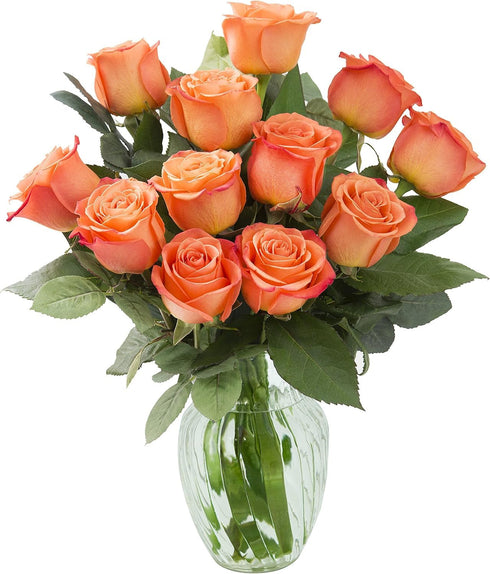 KaBloom - 12 Orange Roses with vase - Fresh Flowers for Birthday,