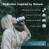 (Pack 12) Regenerative Organic Certified Birch Tree Sap Electrolytes, Minerals, Prebiotics & Vitamins, Finland Wild