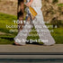 25.4 TOST Rose Sparkling White Tea, Ginger and Elderberry, FZ